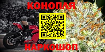 прущие грибы Вязьма