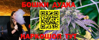 прущие грибы Вязьма