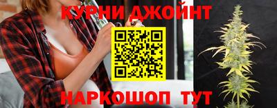 прущие грибы Вязьма