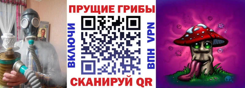 Псилоцибиновые грибы прущие грибы  Дюртюли 