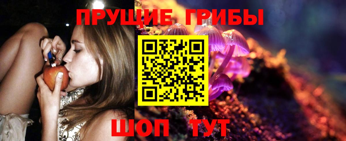 Галлюциногенные грибы Psilocybe  Вход с VPN  Дюртюли 
